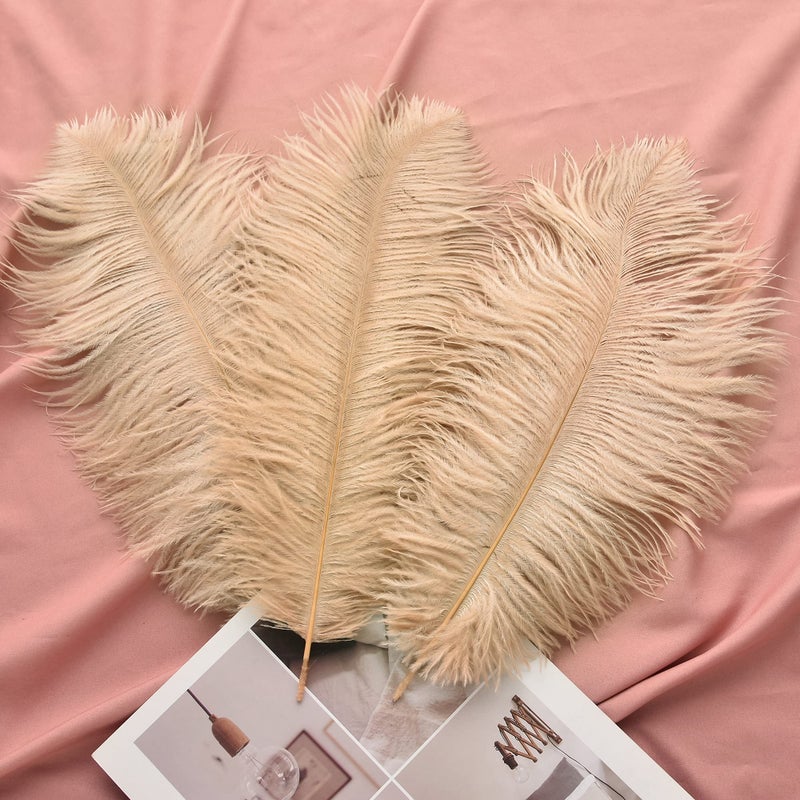 Ballinger Champagne Ostrich Feathers Bulk - 24pcs 10-12inch Boho Feathers for vase and Home Decor Wedding Party Centerpieces - Image 5