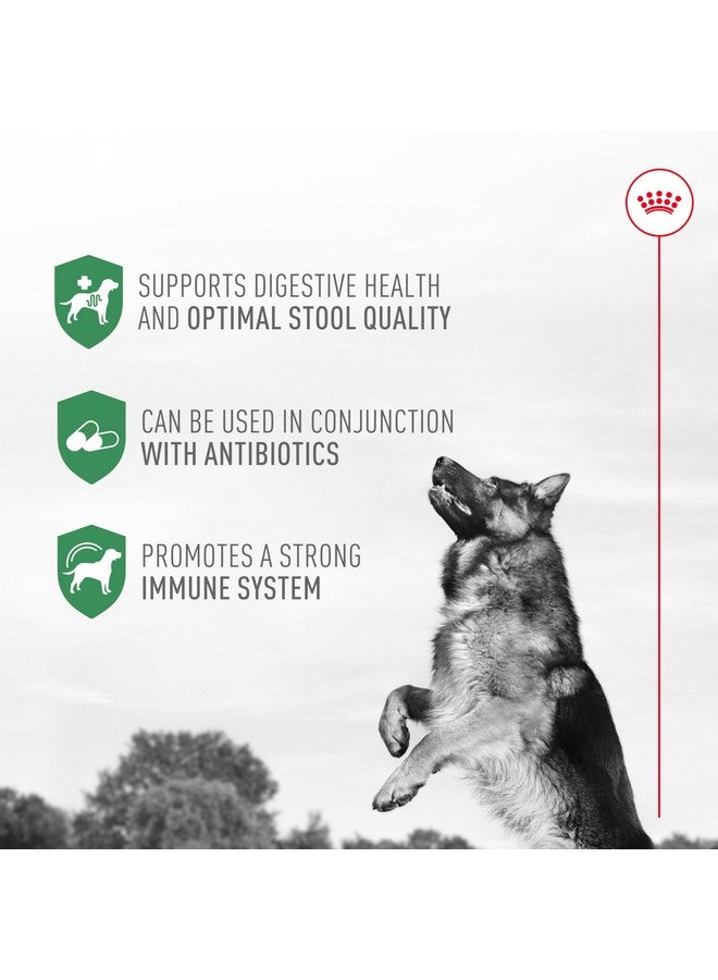 Royal Canin Probiotics for Dogs Digestive and Immune Health Powder Supplement for Dogs of All Ages, 30 Count - Image 5