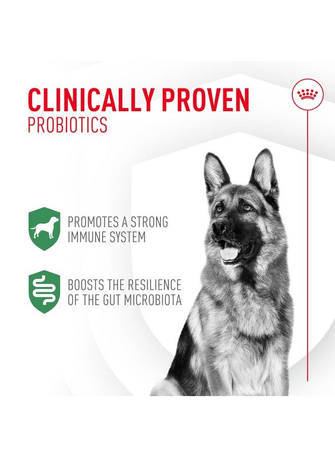 Royal Canin Probiotics for Dogs Digestive and Immune Health Powder Supplement for Dogs of All Ages, 30 Count - Image 2