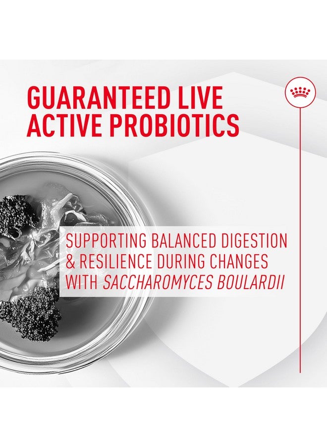 Royal Canin Probiotics for Dogs Digestive and Immune Health Powder Supplement for Dogs of All Ages, 30 Count - Image 3