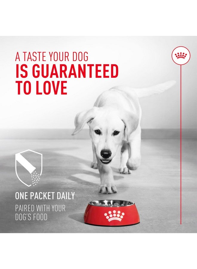 Royal Canin Probiotics for Dogs Digestive and Immune Health Powder Supplement for Dogs of All Ages, 30 Count - Image 4