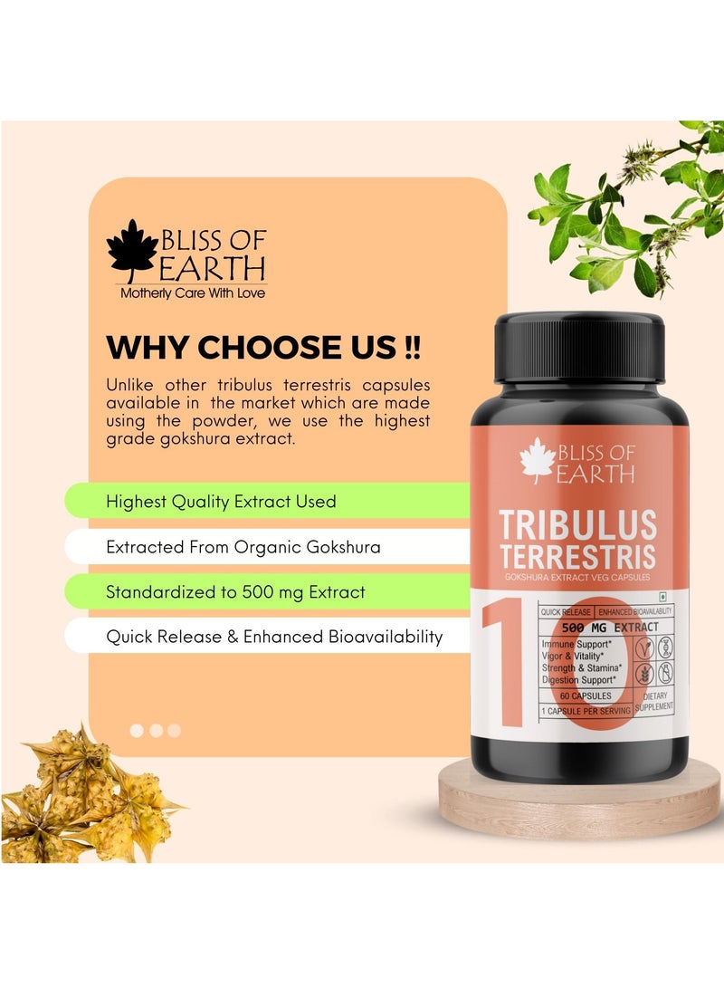 بليس اوف ايرث كبسولات مكملة من باناكس الجينسنغ الأحمر الكوري وتريبولوس تيريستريس 500 مجم مستخلص جذر عالي الفعالية 60 كبسولة نباتية لقدرة التحمل ونمو العضلات - Image 5