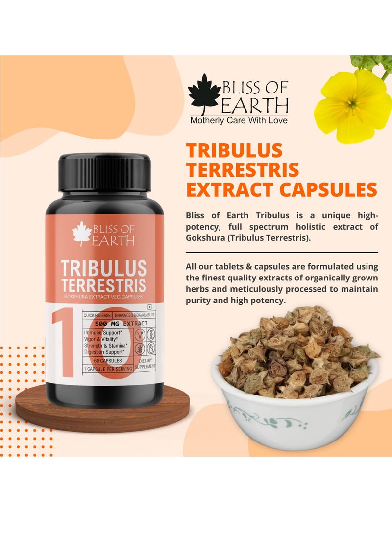 بليس اوف ايرث كبسولات مكملة من باناكس الجينسنغ الأحمر الكوري وتريبولوس تيريستريس 500 مجم مستخلص جذر عالي الفعالية 60 كبسولة نباتية لقدرة التحمل ونمو العضلات - Image 4