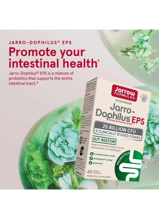 jarrow formulas Jarrodophilus Eps Gut Resore Probiotic 25 Billion Cfu 60 Servings (Enteric Coated Veggie Caps) 8 Clinically Studied Strains Intestinal & Immune Health Dietary Supplement  - Image 4