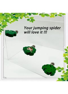 Heyshapeing Heyshapeing 3 Pack Natural Wood Jumping Spider Enclosure Ledges with Magnets for Spoods Jumping Spiders Magnetic Jumping Spider Accessories (Leaf Shape)  - Image 2