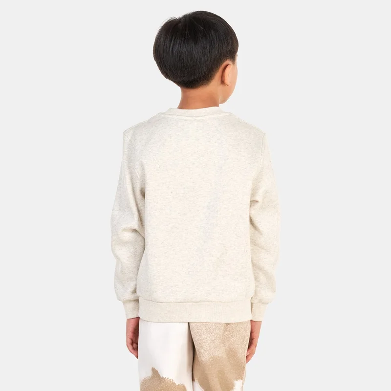 Nike Kids' Sportswear Club+ Crewneck Create Sweatshirt