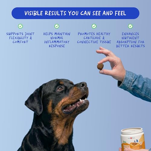 Coco and Luna Turmeric Curcumin for Dogs - 90 Soft Chews - with Collagen, BioPerine and Fish Oil - Hip & Joint Support, Ease Inflammation, Antioxidant. - Image 3