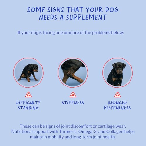 Coco and Luna Turmeric Curcumin for Dogs - 90 Soft Chews - with Collagen, BioPerine and Fish Oil - Hip & Joint Support, Ease Inflammation, Antioxidant. - Image 5