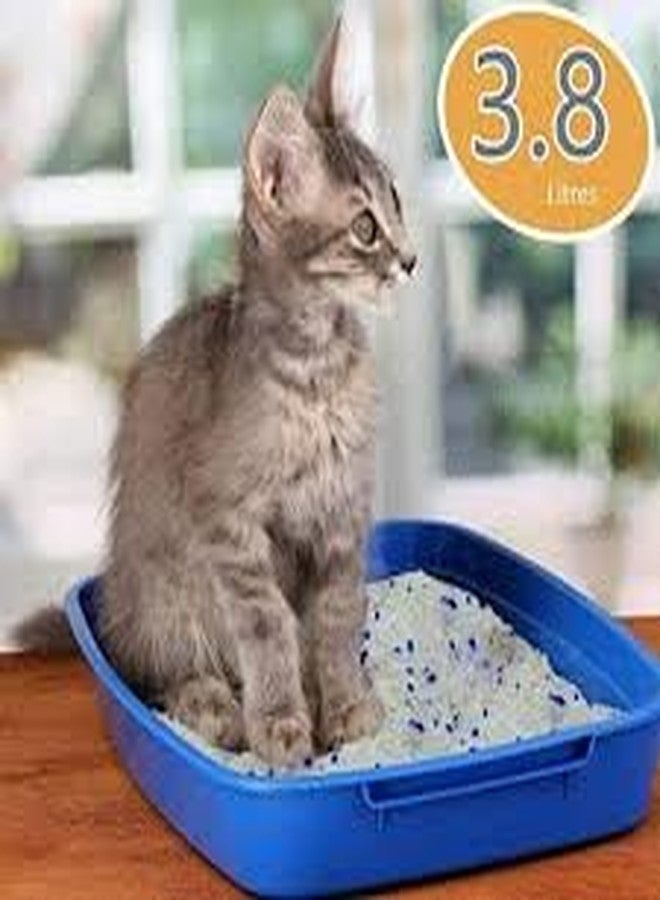 Gorilla pets رمل قطط سيليكون كريستال من غوريلا بيتس، عبوة 1.6 كجم، رمل قطط فاخر، قد يختلف اللون - Image 4