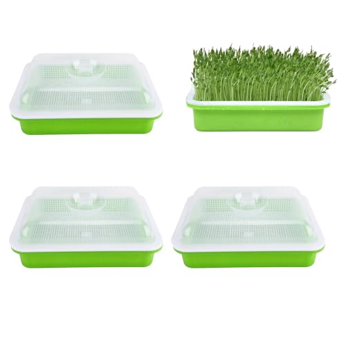 Homend 3 Pack Seed Sprouter Tray With Lid,Seed Germination Tray Bpa Free Nursery Tray For Seedling Planting Great For Garden Home Office(3),Green - Image 1