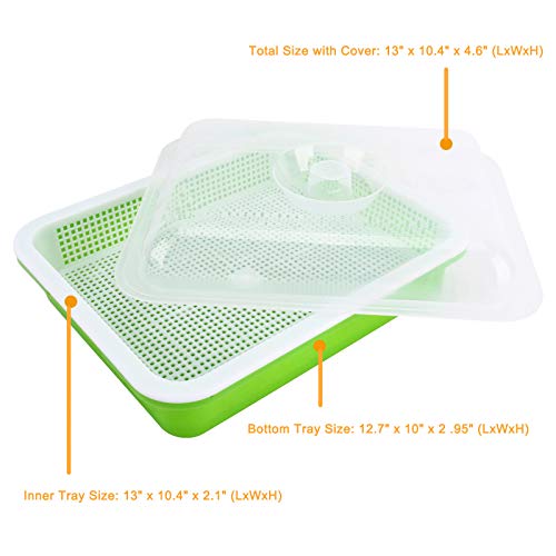 Homend 3 Pack Seed Sprouter Tray With Lid,Seed Germination Tray Bpa Free Nursery Tray For Seedling Planting Great For Garden Home Office(3),Green - Image 2