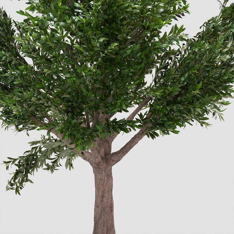 AL HUZAIFA FURNITURE Olive Faux Plant - Image 2
