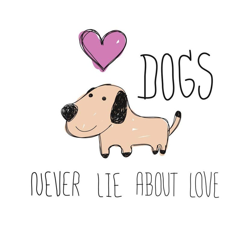 5 Ace dogs never lie about Wall Sticker Poster|size:12x18 inch|multicolor - Image 4