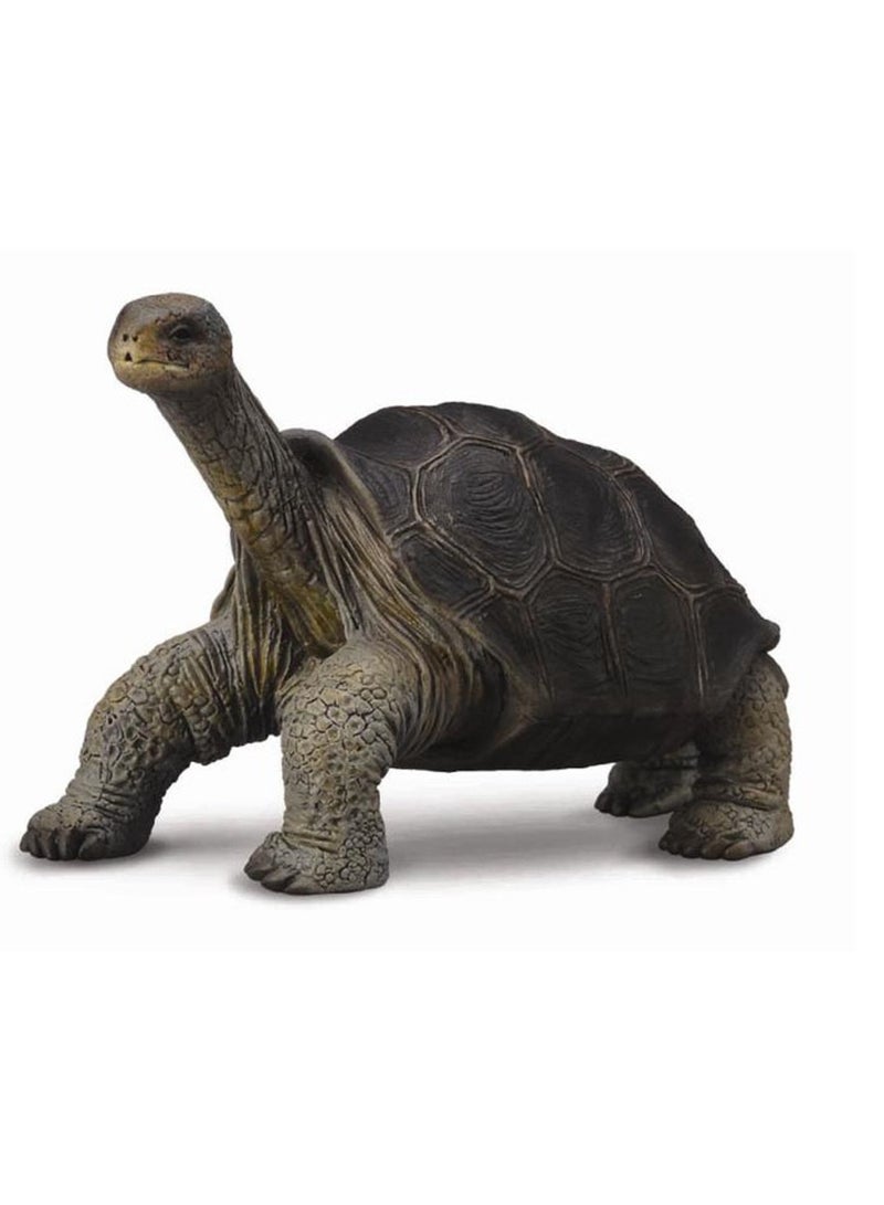 Collecta - Pinta Island Tortoise - 88619