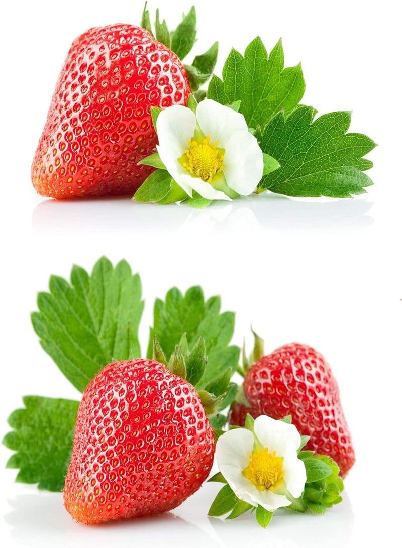 GGOOT 20 Seeds Red Climbing Strawberry Seeds For Garden Fruit Plant, Sweet And Delicious - Image 2