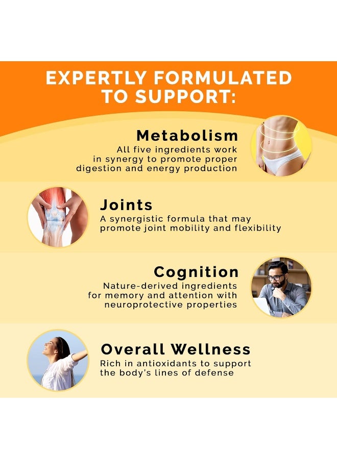 PrimeMD 5 In 1 Ceylon Cinnamon Supplements With Apple Cider Vinegar With Bioperine 120 Vegan Capsules 2355 Mg - Image 4