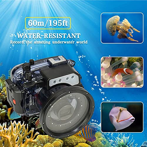 HolaFoto Seafrogs Waterproof Housing Case for Sony RX100 VII M7 mark7 60m/195ft Diving Camera Protective Hard case for Underwater Photography Videography - Image 5