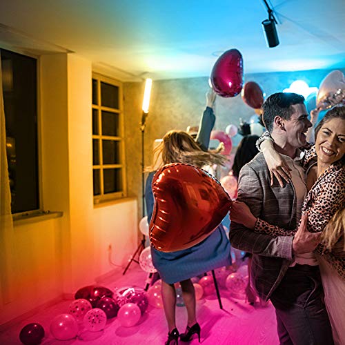 DAYBETTER أضواء شريط LED مقاومة للماء DAYBETTER، 32.8 قدم (دورتين من 16.4 قدم) مجموعة أضواء شريط LED متغيرة الألوان 300 LED مع جهاز تحكم عن بعد IR بـ 44 مفتاح ومصدر طاقة 12 فولت للاستخدام الداخلي والخارجي - Image 4