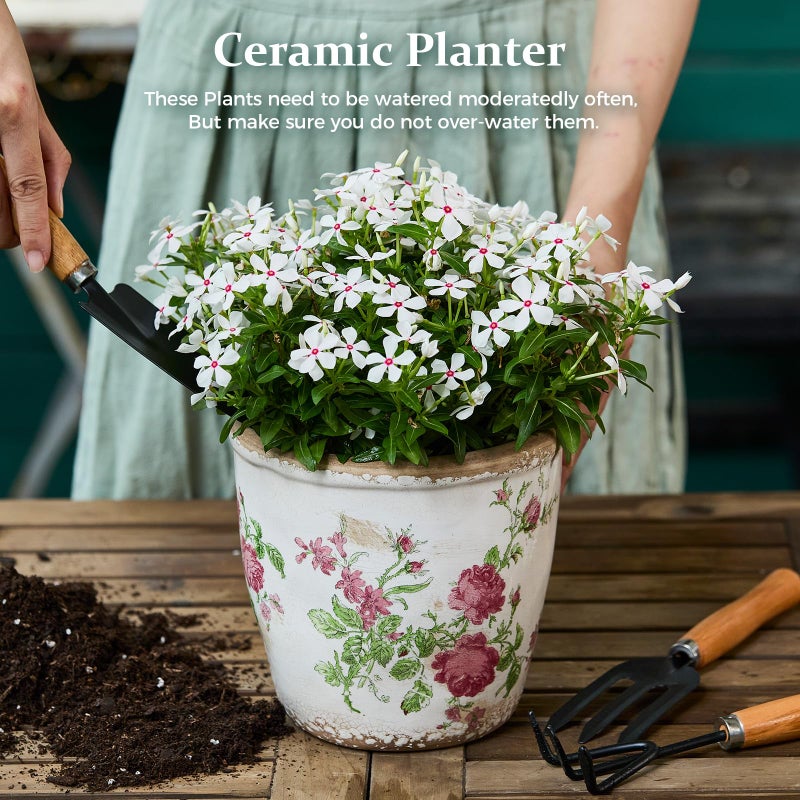 Teweiqi Vintage Ceramic Planter with Drainage Hole, Plastic Tray & Mesh, 6.5 Inch - Indoor/Outdoor Flower Pot, Pink Floral Rustic Farmhouse Design Plant pot for Home, Office & Garden DÃ©cor, Ideal Gift - Image 2