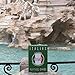 LINGO Italian Lingo Playing Cards Travel Flashcards Learn Italian Vocabulary in A Fun Easy Way 52 Essential Translations - Image 3