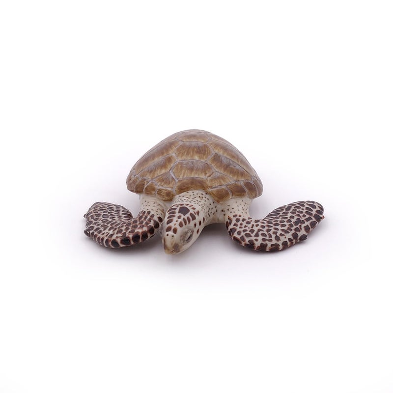 Papo - Loggerhead Turtle - from 3 Years Old - Marine Life Animals - Realistic Figurine - Educational Toy - Hand-Painted - Collection - Decoration - Children's Gift - Early Years - Playful Toy - 56005 - Image 4