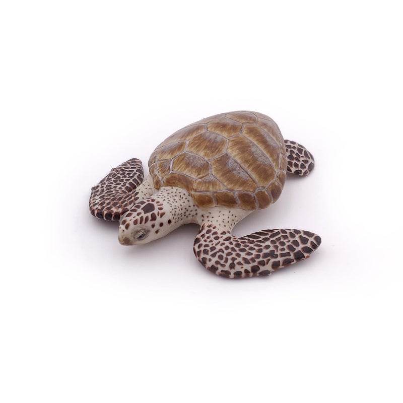 Papo - Loggerhead Turtle - from 3 Years Old - Marine Life Animals - Realistic Figurine - Educational Toy - Hand-Painted - Collection - Decoration - Children's Gift - Early Years - Playful Toy - 56005 - Image 2