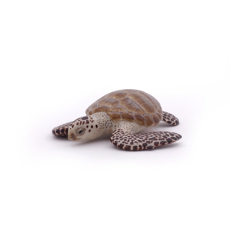 Papo - Loggerhead Turtle - from 3 Years Old - Marine Life Animals - Realistic Figurine - Educational Toy - Hand-Painted - Collection - Decoration - Children's Gift - Early Years - Playful Toy - 56005 - Image 3