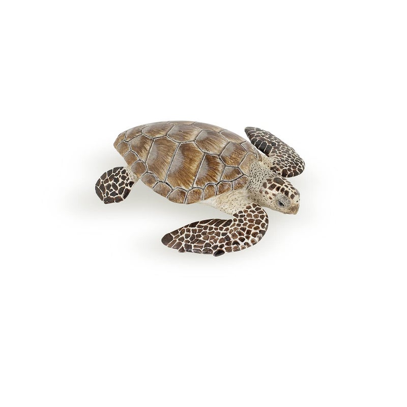 Papo - Loggerhead Turtle - from 3 Years Old - Marine Life Animals - Realistic Figurine - Educational Toy - Hand-Painted - Collection - Decoration - Children's Gift - Early Years - Playful Toy - 56005 - Image 1