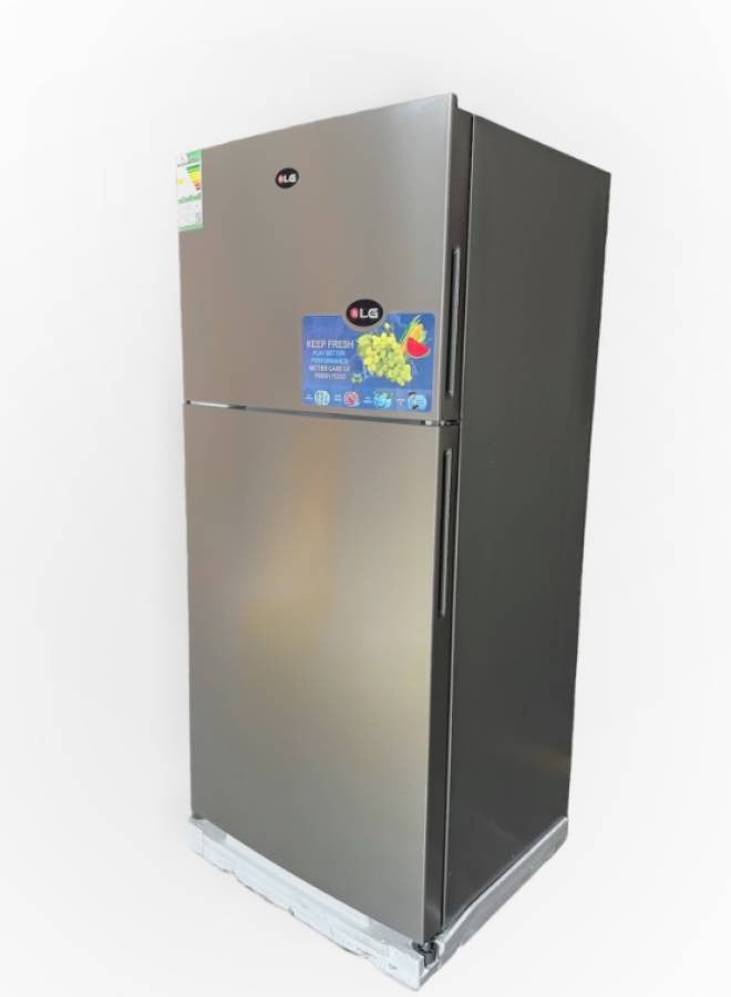 KLG Double Door Steam Refrigerator - 17.1 Feet - Steel - KLG-NR550 - Image 2