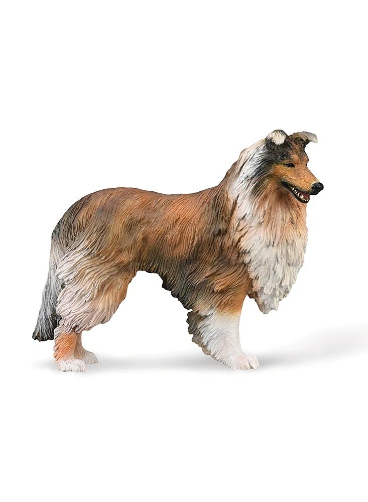 Collecta - Rough Collie Dog - 88997