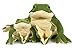 Ice King Bear Mom and Baby Stuffed Animals Set Zoo Wild Animals Giant Frog - Image 4