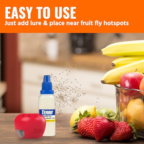Terro Fruit Fly Traps for Indoors (6 Pack) + 270 Days of Lure Supply - Image 4