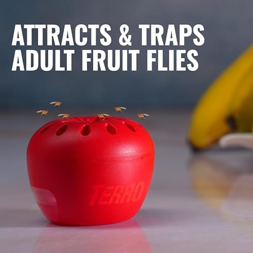Terro Fruit Fly Traps for Indoors (6 Pack) + 270 Days of Lure Supply - Image 2