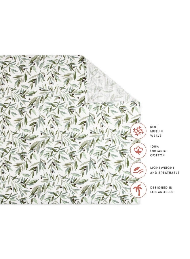 Babyletto 100% Organic Cotton Swaddle, GOTS-Certified, Ultra-Soft and Breathable Muslin - Olive Branches - Image 2