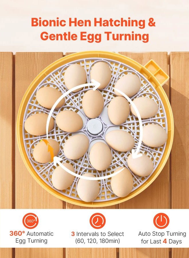 VEVOR 18 Egg Incubator, Automatic Egg Turner with LED Candler, Temperature & Humidity Control, 360° View Clear Window, Auto Water Refill, Poultry Eggs Incubators for Hatching Ducks Goose Quail - Image 4