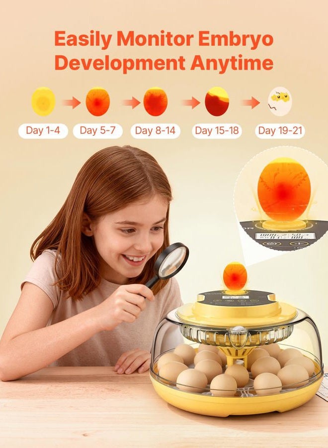 VEVOR 18 Egg Incubator, Automatic Egg Turner with LED Candler, Temperature & Humidity Control, 360° View Clear Window, Auto Water Refill, Poultry Eggs Incubators for Hatching Ducks Goose Quail - Image 5