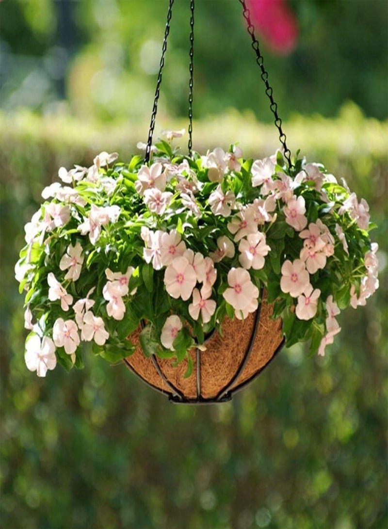 GGOOT 200pcs Mixed Color Petunia Seeds Garden Aisle Decorations Create Different Atmospheres Do Not Need Much Care Special Varieties - Image 2