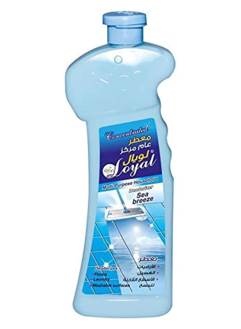 Loyal Multi-Purpose Household Deodorizer - Sea Breeze Blue - Keeps Freshness - Eliminates Bad Odors - 700 ml - Image 1