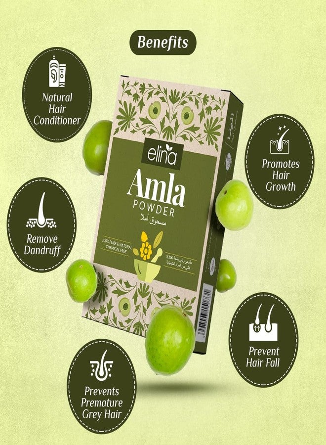 Elina Pure Herbal Amla Powder 200g (100gx2) | Organic Dried Indian Gooseberry Hair Growth Powder for Natural Black Hair | 100% Pure & Natural Amala hair Pack | Pure Herbal Mask for Frizz Control - Image 3
