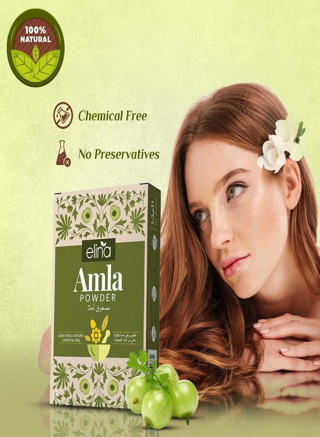 Elina Pure Herbal Amla Powder 200g (100gx2) | Organic Dried Indian Gooseberry Hair Growth Powder for Natural Black Hair | 100% Pure & Natural Amala hair Pack | Pure Herbal Mask for Frizz Control - Image 2