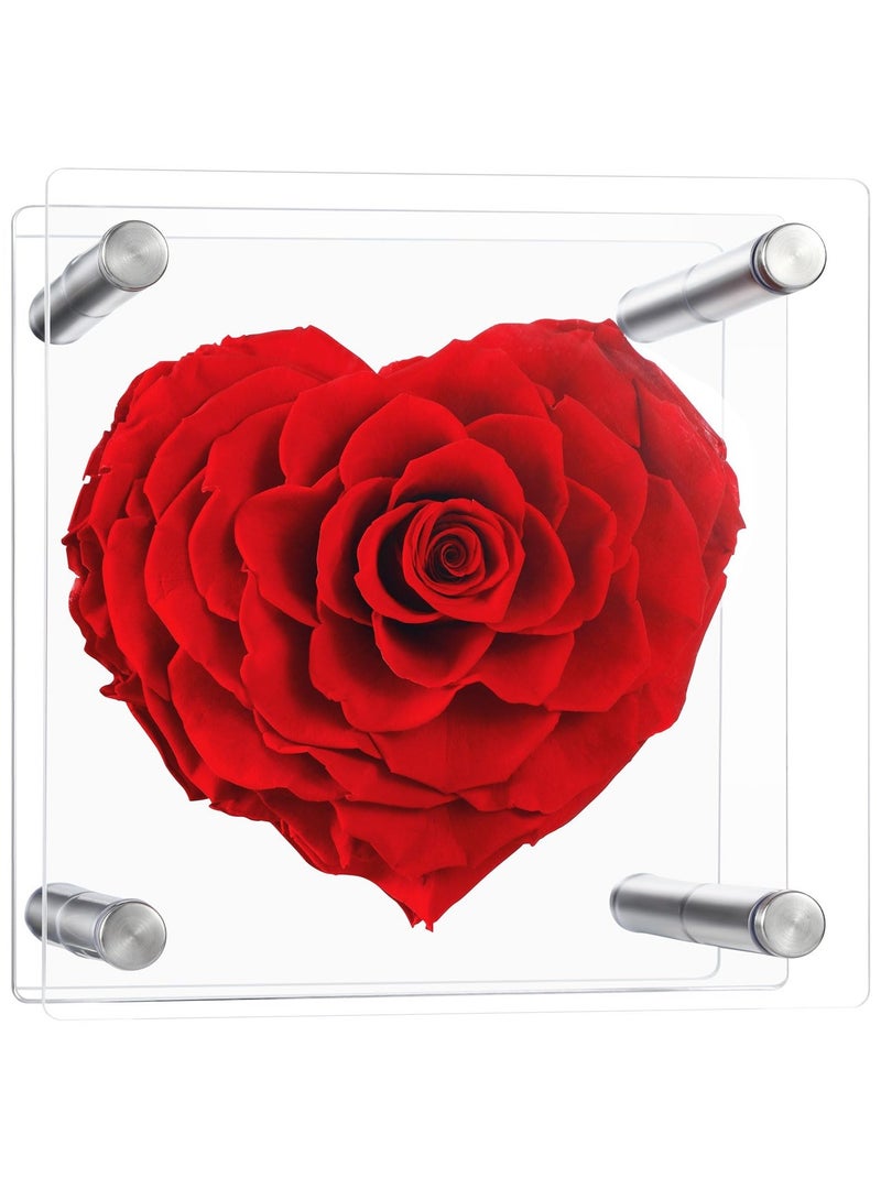 SOLARAE Forever Heart Shape Rose 4.7in Real Eternal Rose Box Fully Handmade, Forever Flower, Valentines Day Gifts for Her, Wife, Girlfriend, Woman, Romantic Gift for Her, Birthday, Anniversary, Red - Image 1