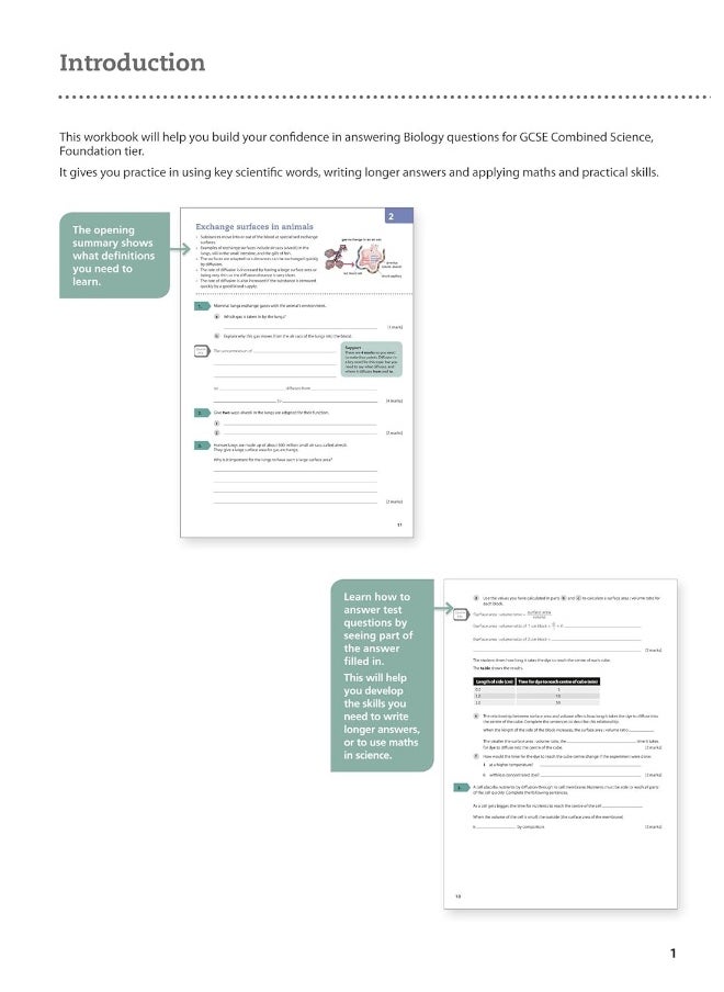 AQA GCSE 9-1 Biology for Combined Science Foundation Support Workbook