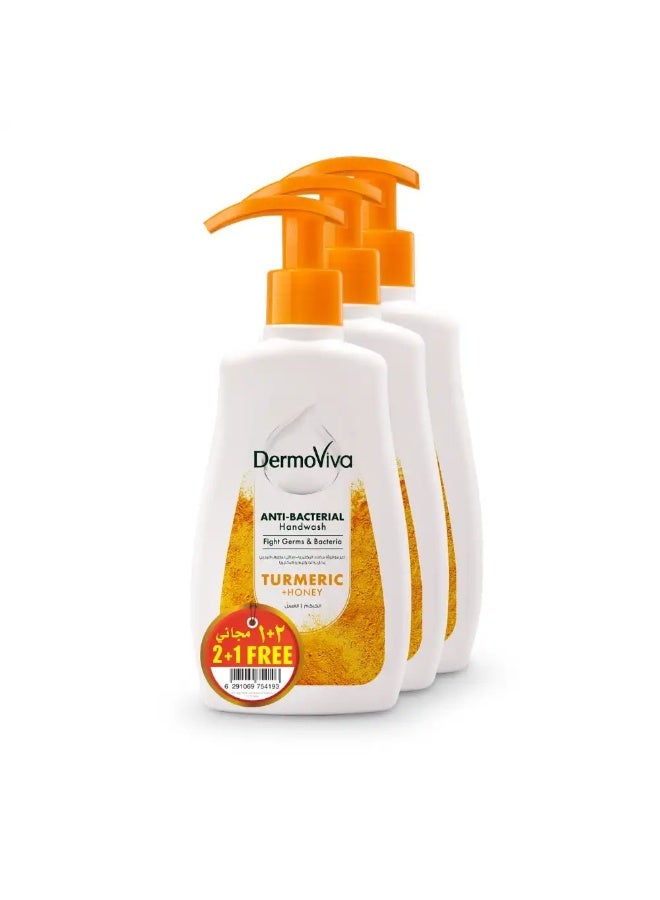 DermoViva Anti-Bacterial Handwash Turmeric & Honey Value Pack (2+1 Free)