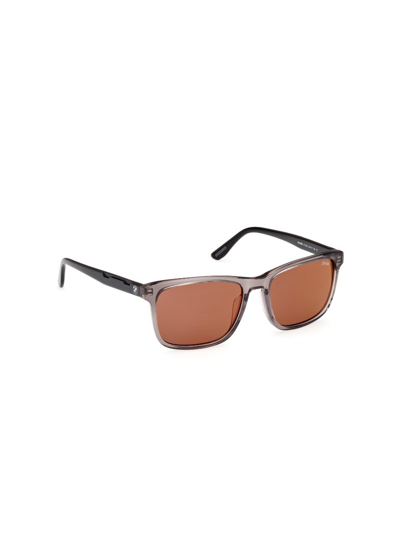 Men's Navigator Shape Acetate Sunglasses BW0053-H20J55 Lens Size: 55 Millimeter - Shiny Grey - pzsku/Z907C70CC2F7D928DBA4AZ/45/_/1727713211/bebfd934-0678-44c4-a6d6-5d19e8848cca