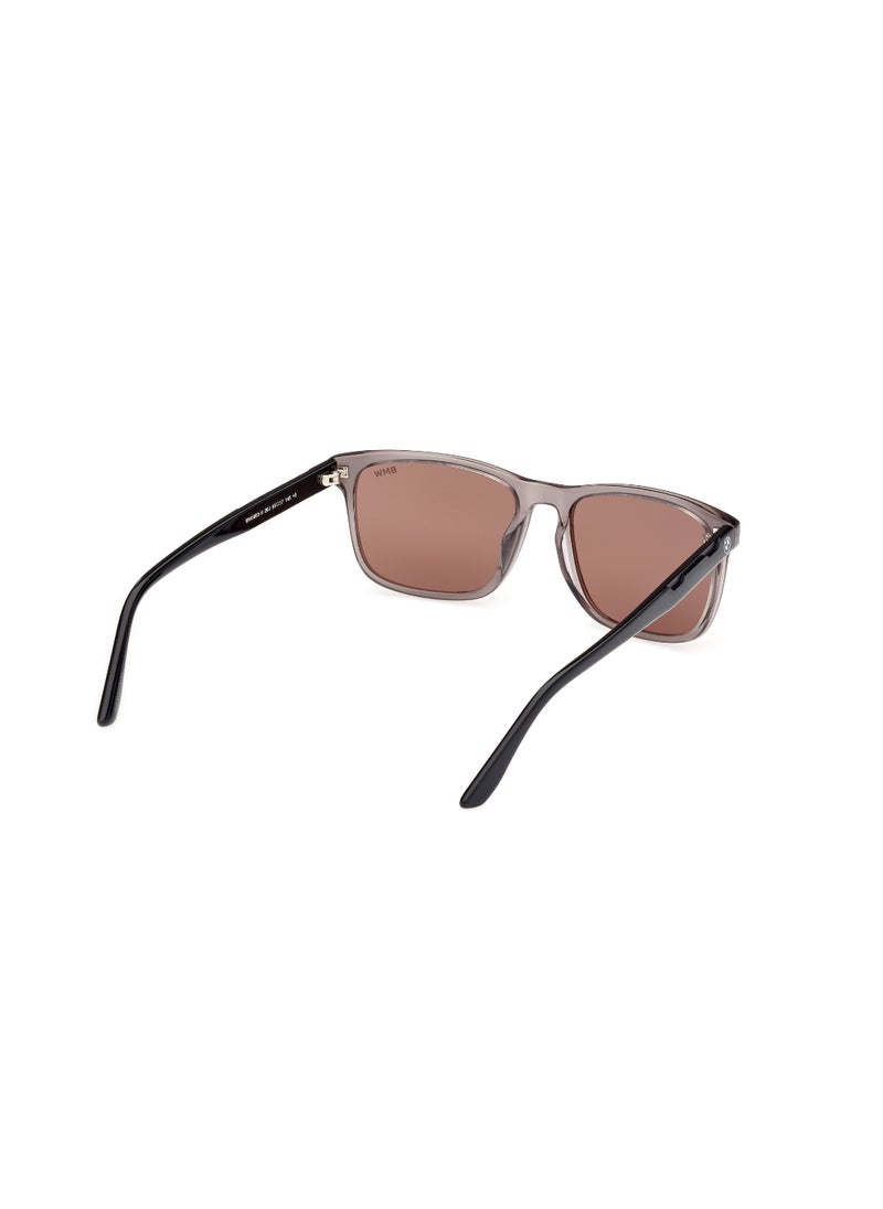 Men's Navigator Shape Acetate Sunglasses BW0053-H20J55 Lens Size: 55 Millimeter - Shiny Grey - pzsku/Z907C70CC2F7D928DBA4AZ/45/_/1727713214/6dc6a347-ac97-4761-9358-35d5c7f737e8