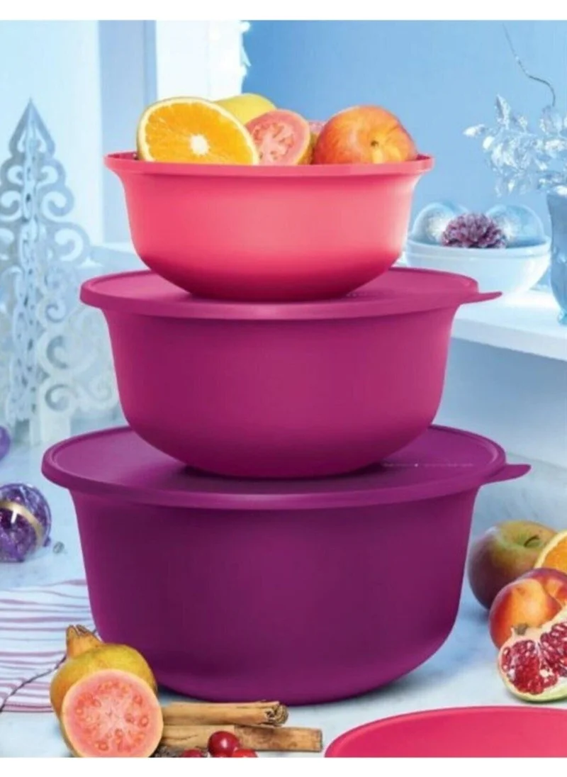 تابروير Aloha Set of 3 Storage Serving Prep Container
