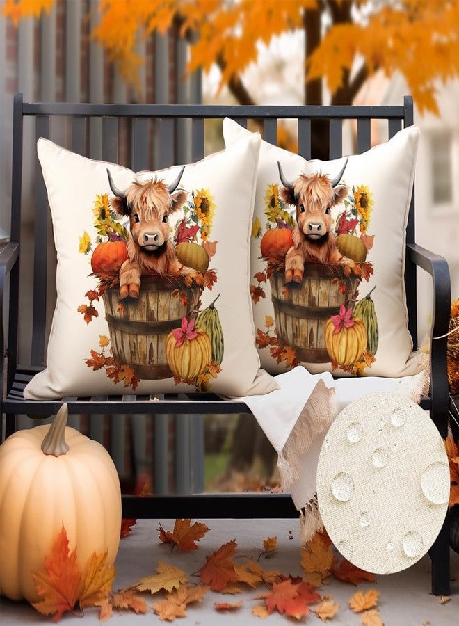 RABUSOFA Fall Outdoor Pillow Covers 18x18 Inch Waterproof Set of 2 Autumn Highland Cow Sunflower Farmhouse Decorations for Home Thanksgiving Pumpkin Decor Decorative Throw Pillow Cases for Patio Couch - Image 5
