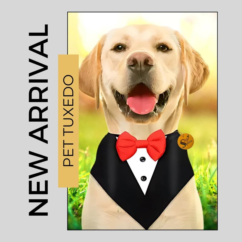 Sage Square Trendy Tuxedo Bandana for Pets | Perfect for Special Occasions Like Weddings, Birthdays & Parties | Easy to Wear, Comfortable Fit | Luxury Apparel for Dogs & Cats (Black & Red, Medium) - Image 2