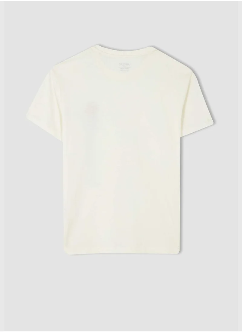 DeFacto Man Regular Fit Crew Neck Short Sleeve T-Shirt