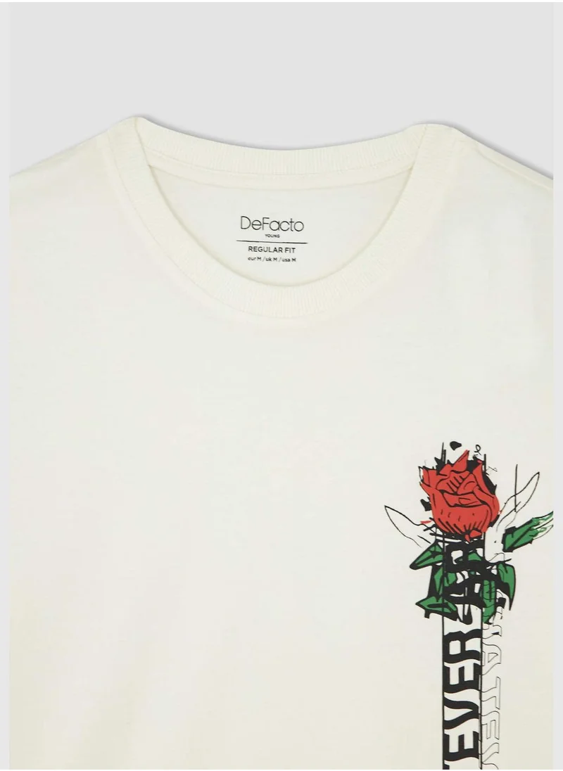 DeFacto Man Regular Fit Crew Neck Short Sleeve T-Shirt